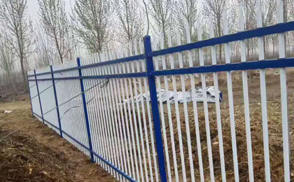 鋅鋼護(hù)欄網(wǎng) 鋅鋼護(hù)欄網(wǎng)